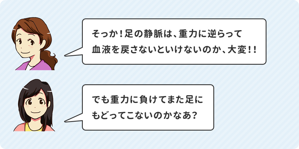 そっか！足の静脈は、重力に逆らって血液を戻さないといけないのか、大変！！