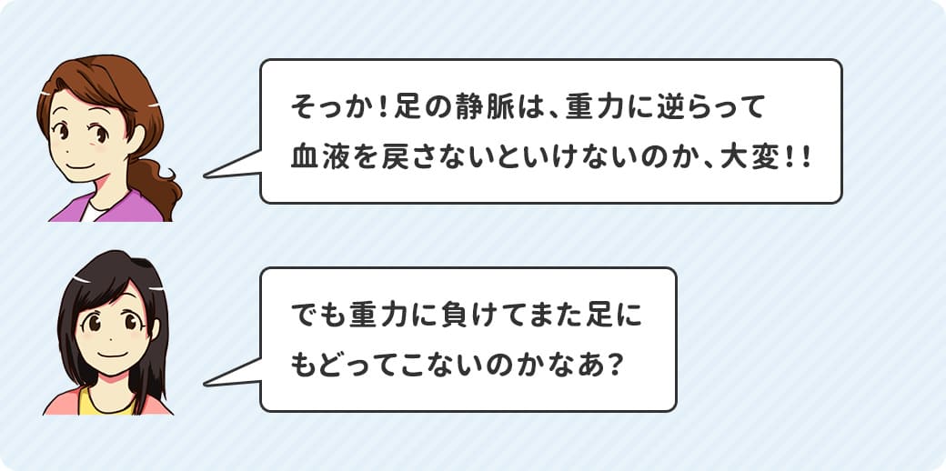 そっか！足の静脈は、重力に逆らって血液を戻さないといけないのか、大変！！
