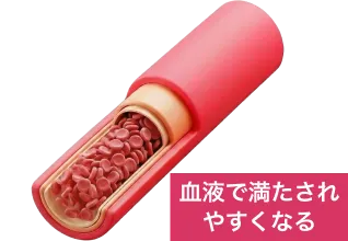 平滑筋の締め付けがゆるんだ血管