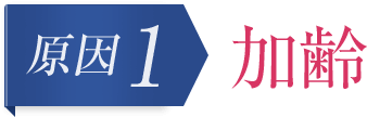 加齢