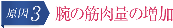 腕の筋肉量の増加