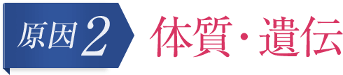 体質・遺伝