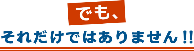 でもそれだけではありません
