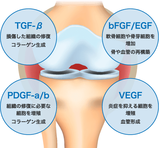 PRPに含まれる成長因子