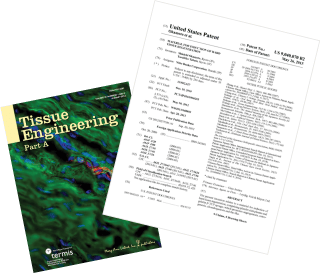 濃縮技術を活かした当院のPRP関節注射