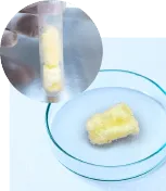 ※医療用成長因子(FGF)を微量配合しております。