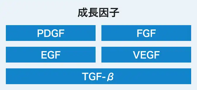 成長因子 PDGF FGF EGF VEGF TGF-β