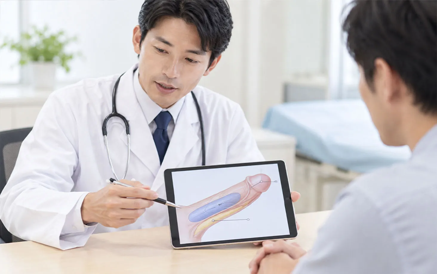 陰茎の海綿体と外側を示した図を、タブレットで患者に説明する医師